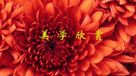 美学欣赏