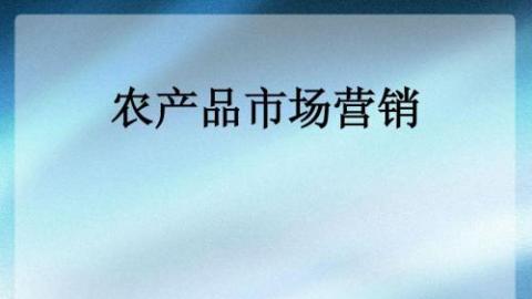 2025春季学期 