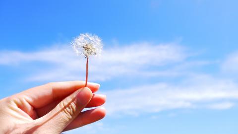 2025秋季学期 