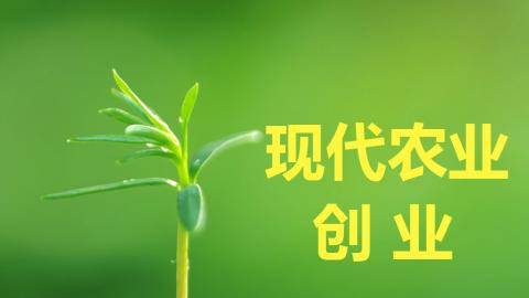 2025春季学期 