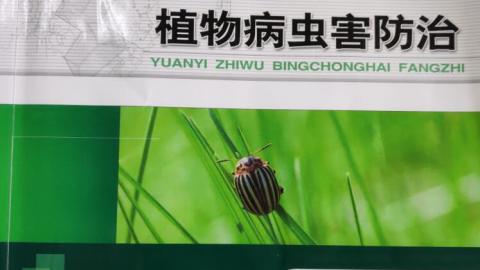 2025春季学期 