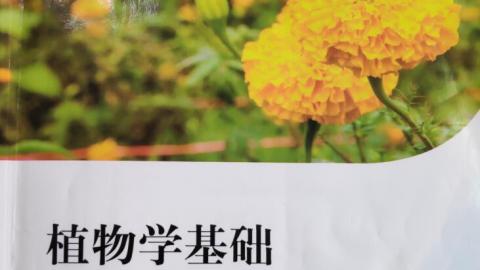 2025春季学期 
