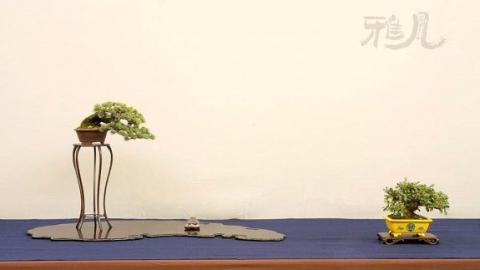 2025春季学期 