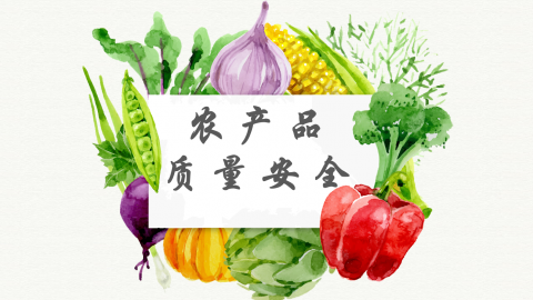 2025春季学期 