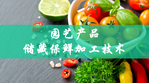 2025秋季学期 